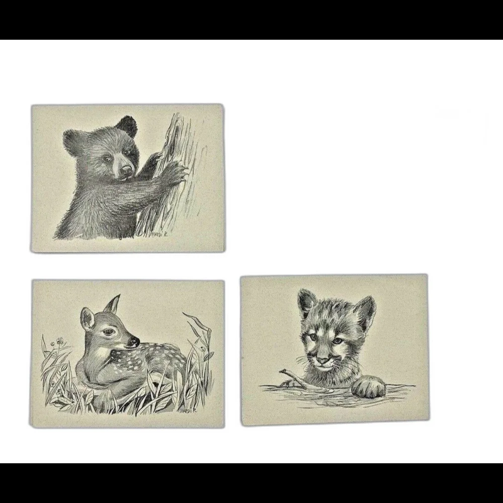 Vtg 1994 Telstar Graphics Note Cards & Envelopes Animals Print Set Of 3 USA